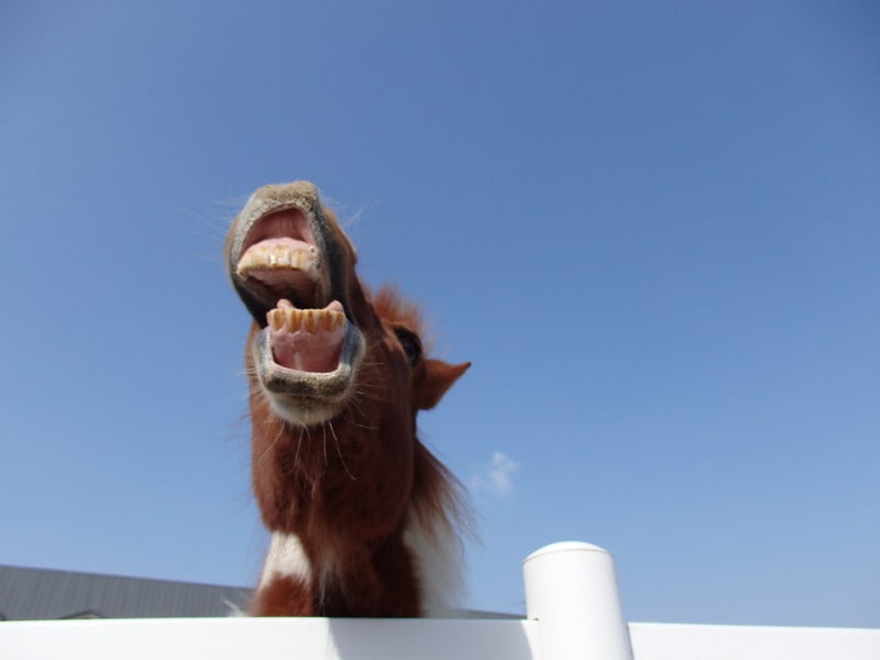 P2160016_2 P2160016_2