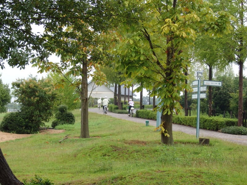 P8160018_2 P8160018_2