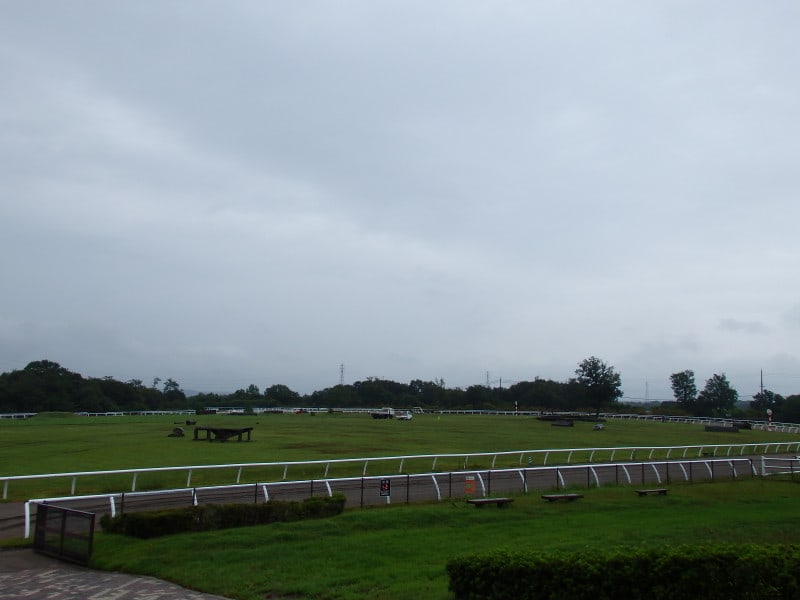 P8160019_2 P8160019_2