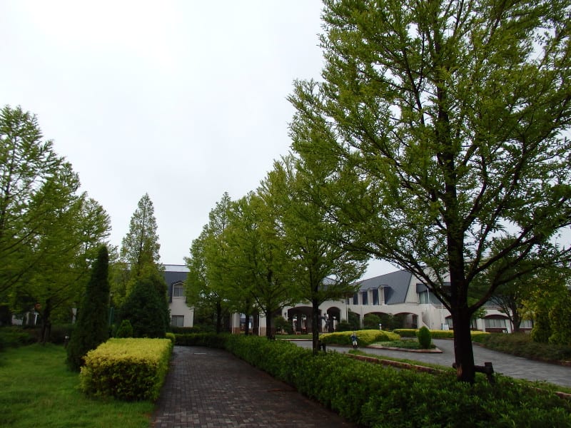 P8160031_2 P8160031_2