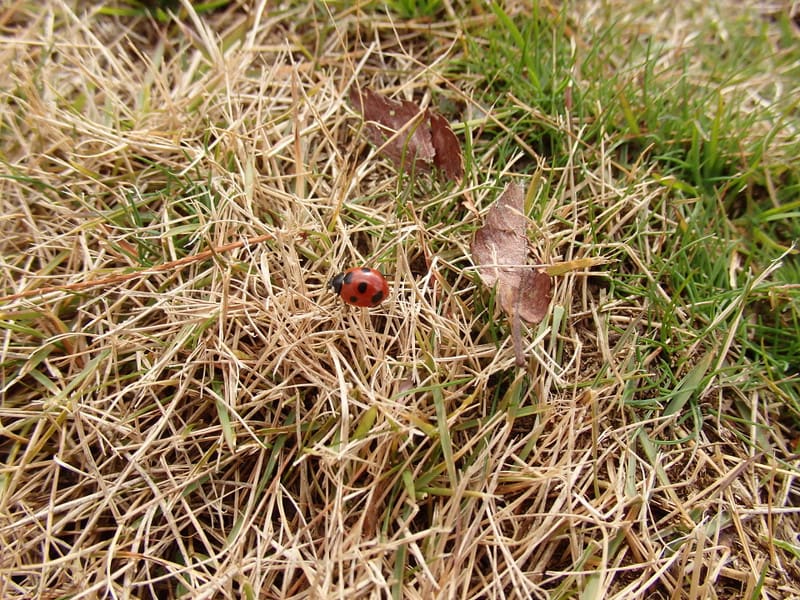 P1090006_2 P1090006_2