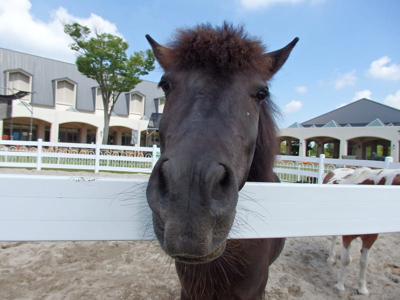 P7250126_2 P7250126_2