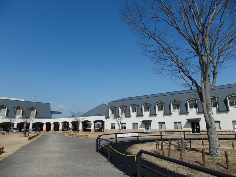 P3070033_2 P3070033_2