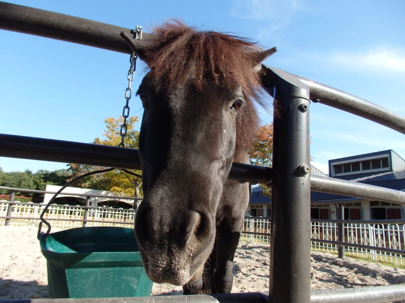 Pa290471_2 Pa290471_2