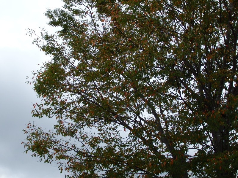 P9040209_3 P9040209_3