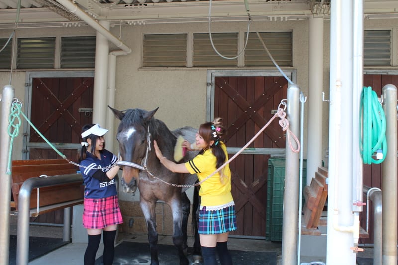 Img_7324_3 Img_7324_3