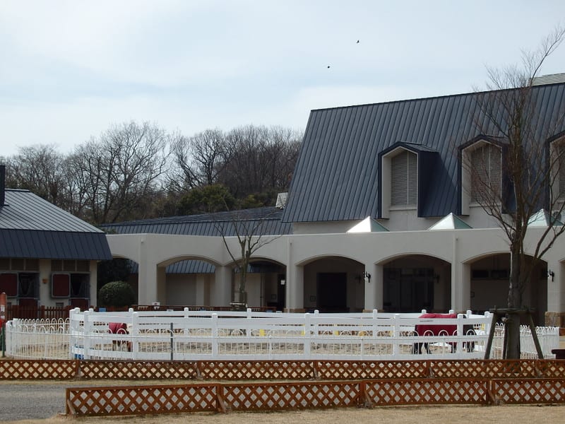 P3040002_2 P3040002_2