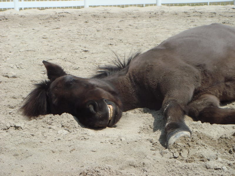 Dsc01331_3 Dsc01331_3