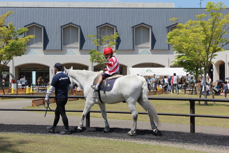 Img_6902_2 Img_6902_2