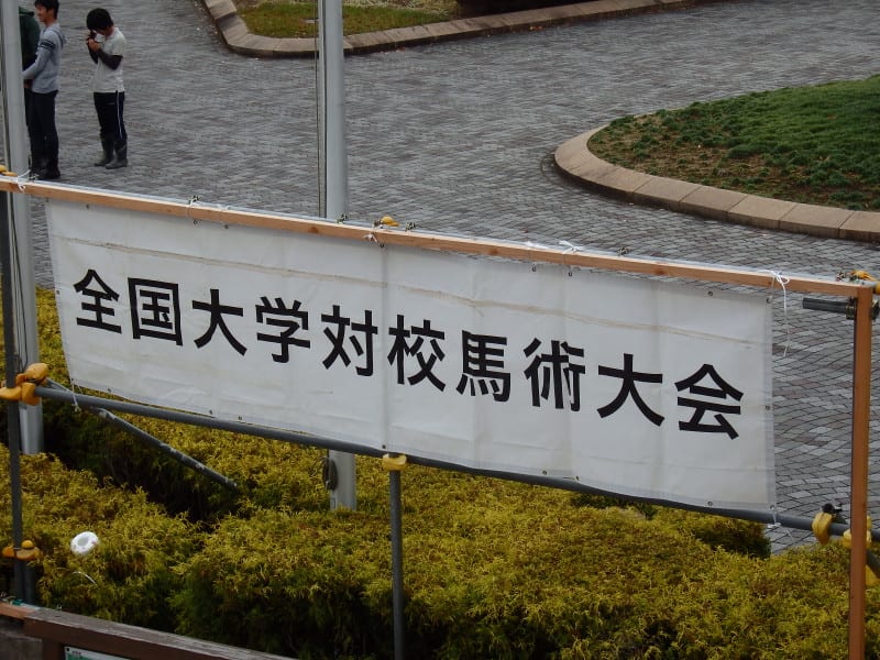 Pa310006_2 Pa310006_2