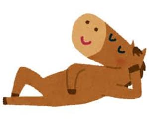 Imagesca45o4aw Imagesca45o4aw