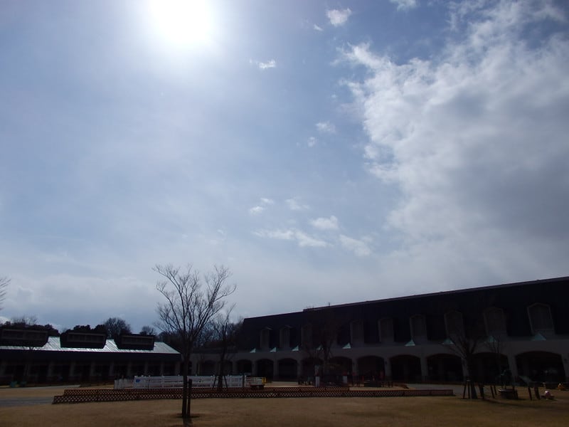 P3060001_2 P3060001_2