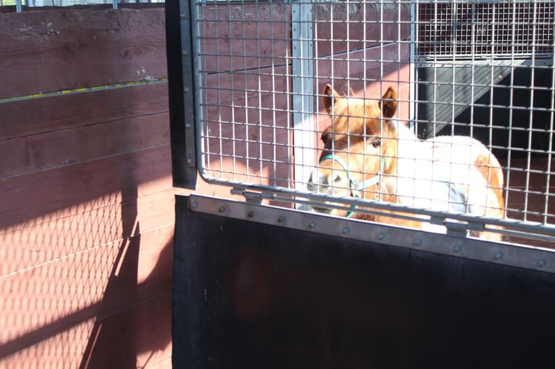 Img_9006_2 Img_9006_2