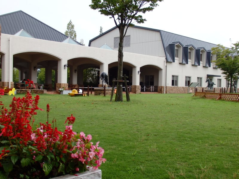 P8160015_2 P8160015_2