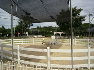 P1010018