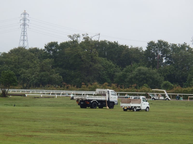 P8160020_2 P8160020_2