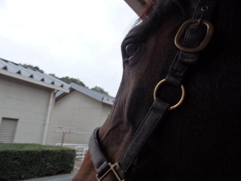 Pa310114_2 Pa310114_2