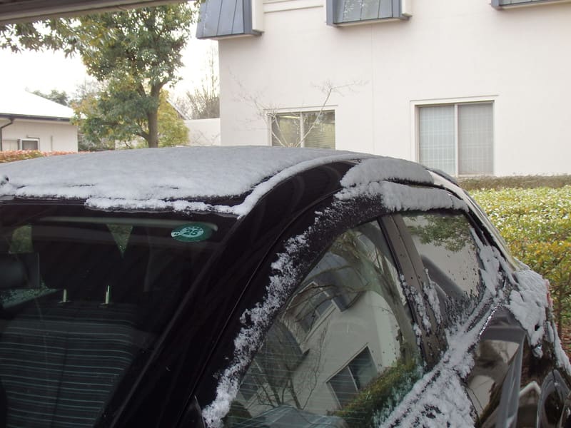 P1190026_2 P1190026_2