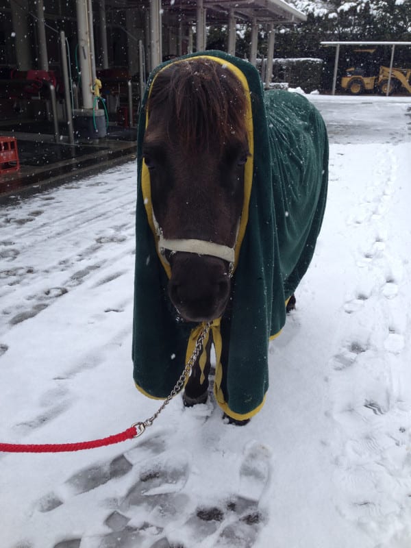 20140214_100214 20140214_100214