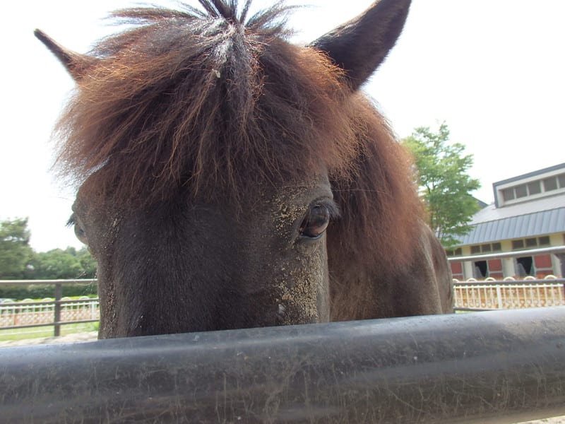 P7160036_2 P7160036_2