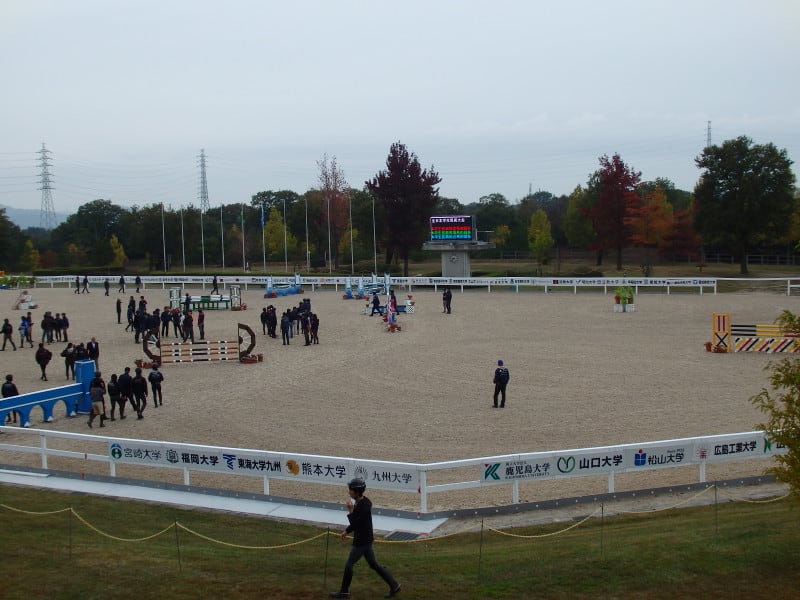 Pa310008_2 Pa310008_2