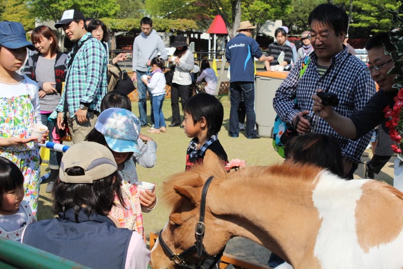 Img_7307_2 Img_7307_2