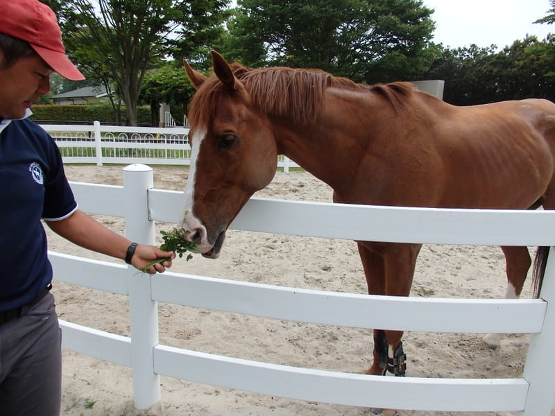 P6170037_2 P6170037_2